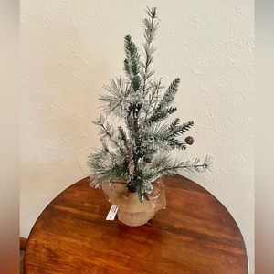 NWT- winter Tree